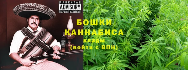индика Домодедово