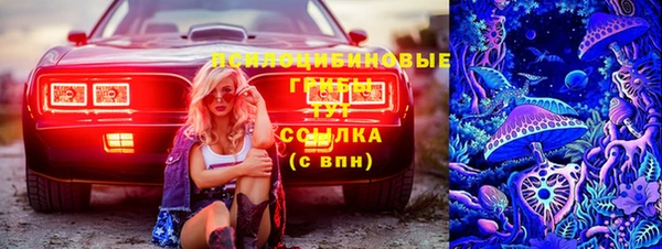 spice Волоколамск