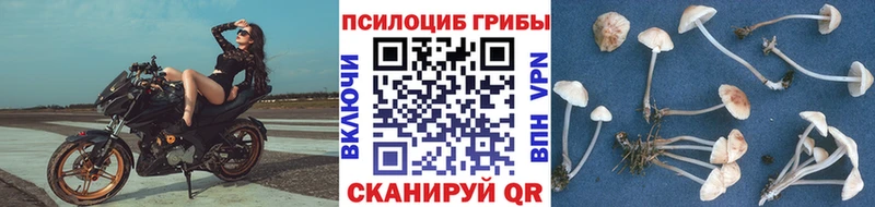 Галлюциногенные грибы GOLDEN TEACHER  Липки 